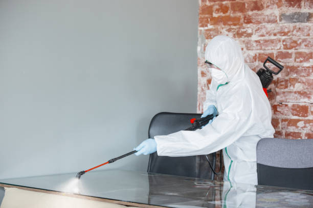  Clarkson, KY Mold Removal & Remediation Pros