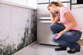 Best Mold Removal for HVAC Installations  in Clarkson, KY